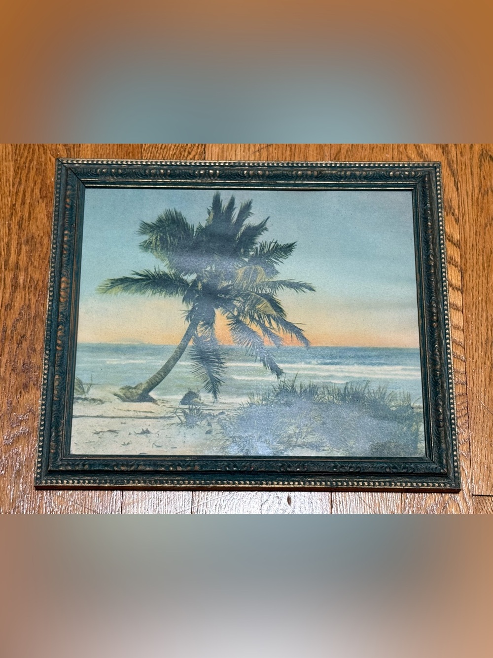 VTG 1920’s Florida Beach Palm Tree Scenery Print (Thin Paper) Antique Wood Frame